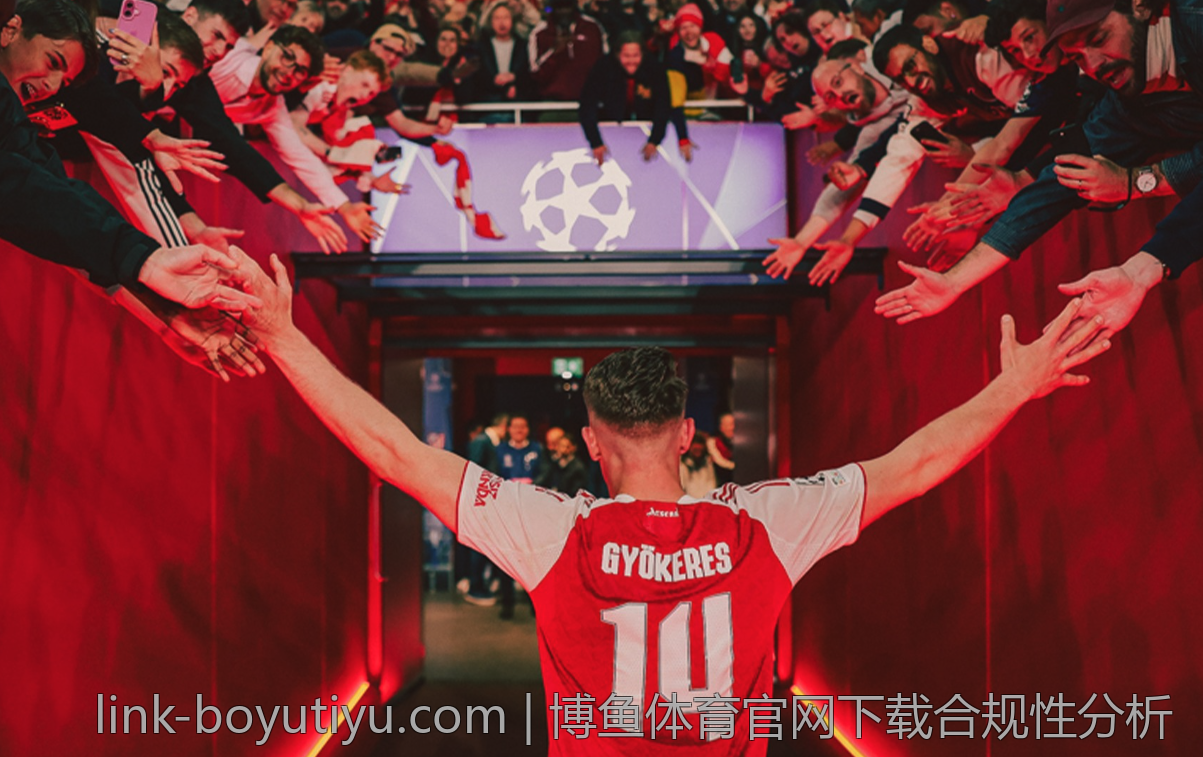 博鱼体育官网下载合规性分析